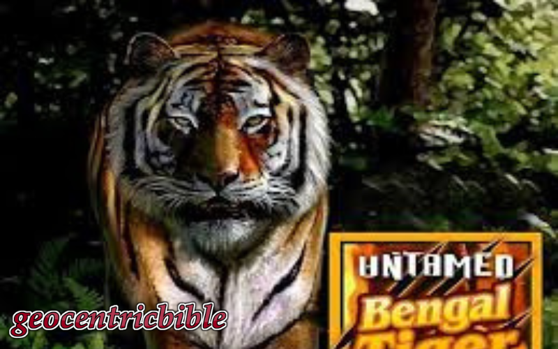 unatmed bengal tiger