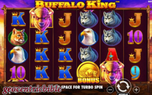 buffalo king 