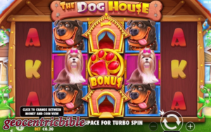 the dog house 