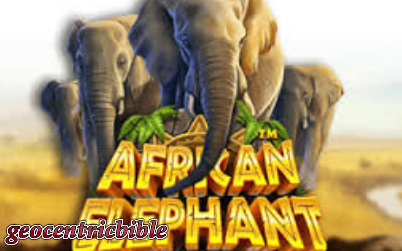 african elephant