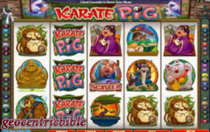 karate pig 